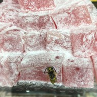 A stack of lokum, or Turkish delight in a shop window with a wasp